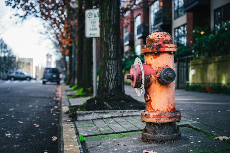 Red Fire Hydrant Near Road