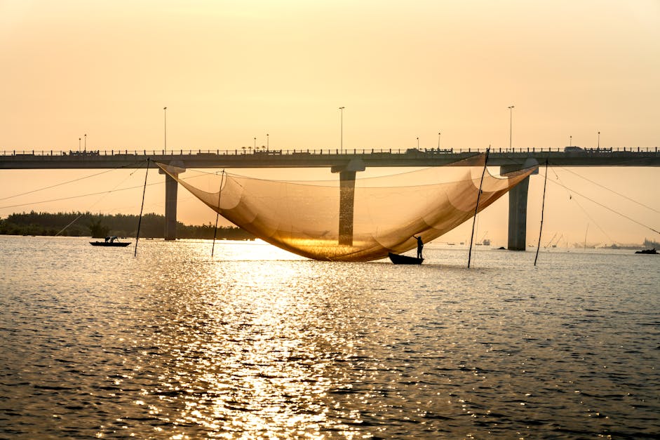 Anonymous men fishing in river near bridge at sunset · Free Stock Photo