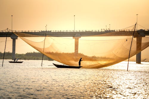 Bamboo poles with fishing nets in river in tropical country · Free