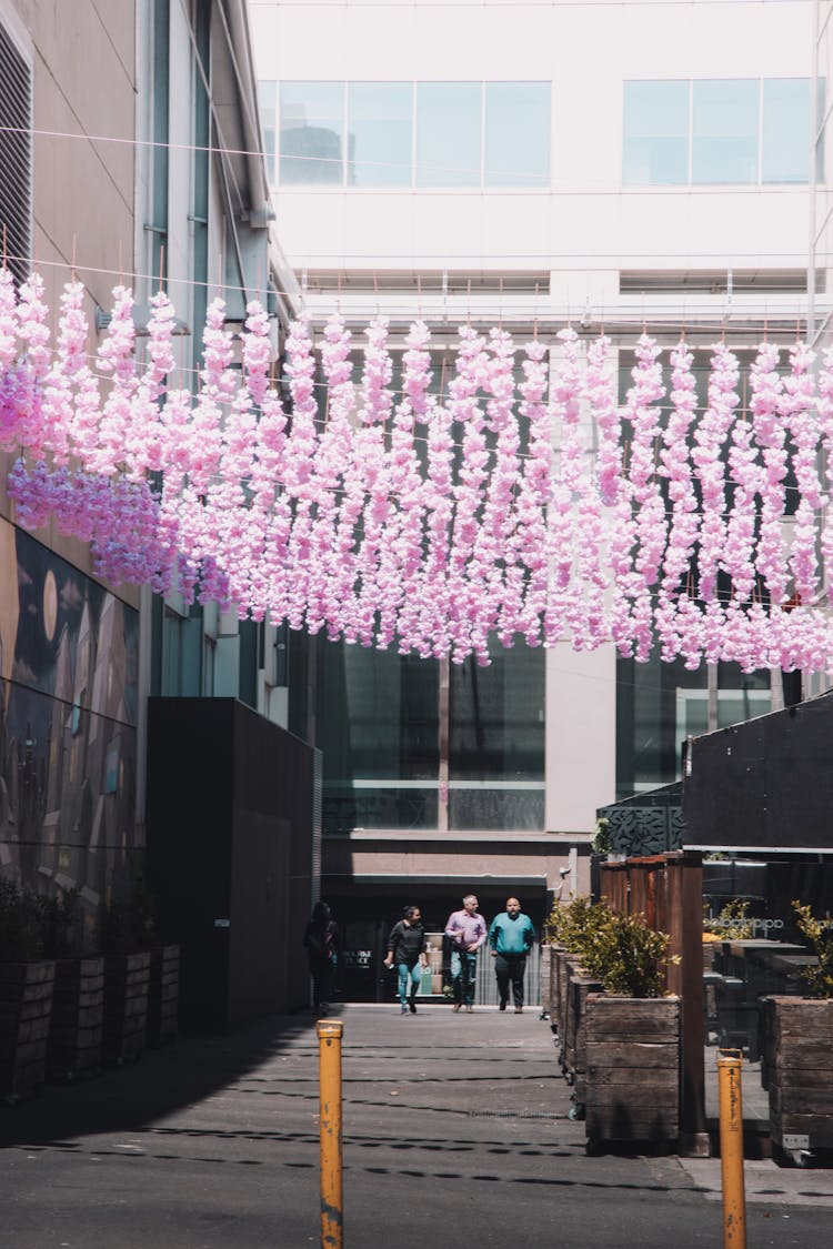 People Walking On An Alley With Buntings