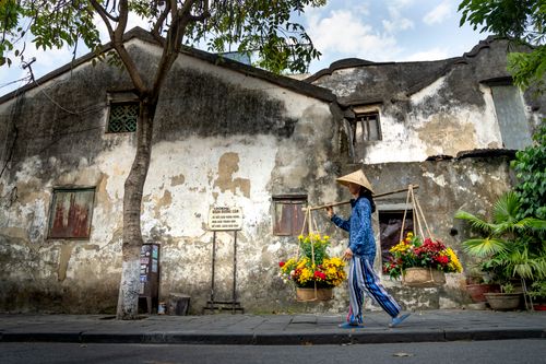 Free Side view of young Vietnamese female seller in casual clothes and traditional conical hat carrying baskets with fresh colorful flowers while walking gin Hoi An town near shabby building Stock Photo
