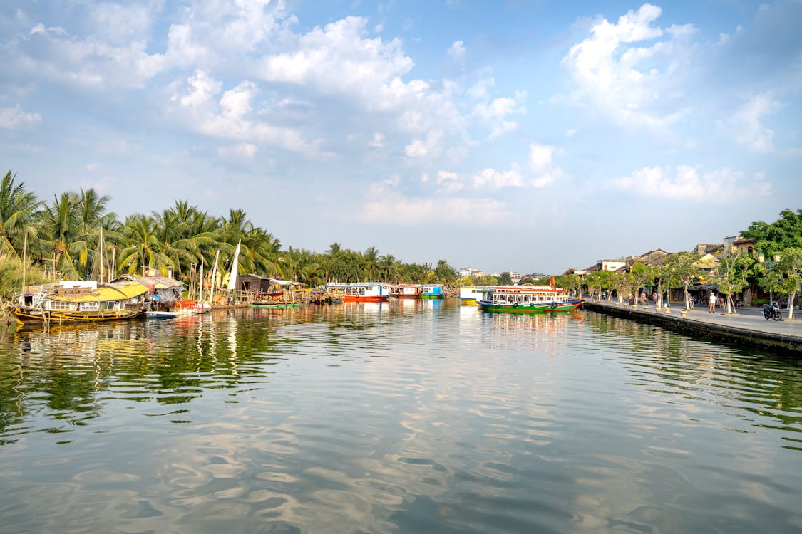 Free Scenic landscape of calm Thu Bon River with moored colorful boats flowing between lush palm trees and residential cottages in Hoi An on sunny day Stock Photo