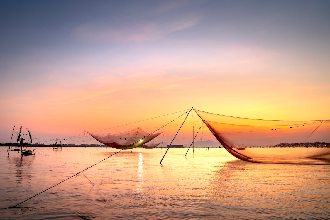 Fishing nets on sea against sundown sky · Free Stock Photo