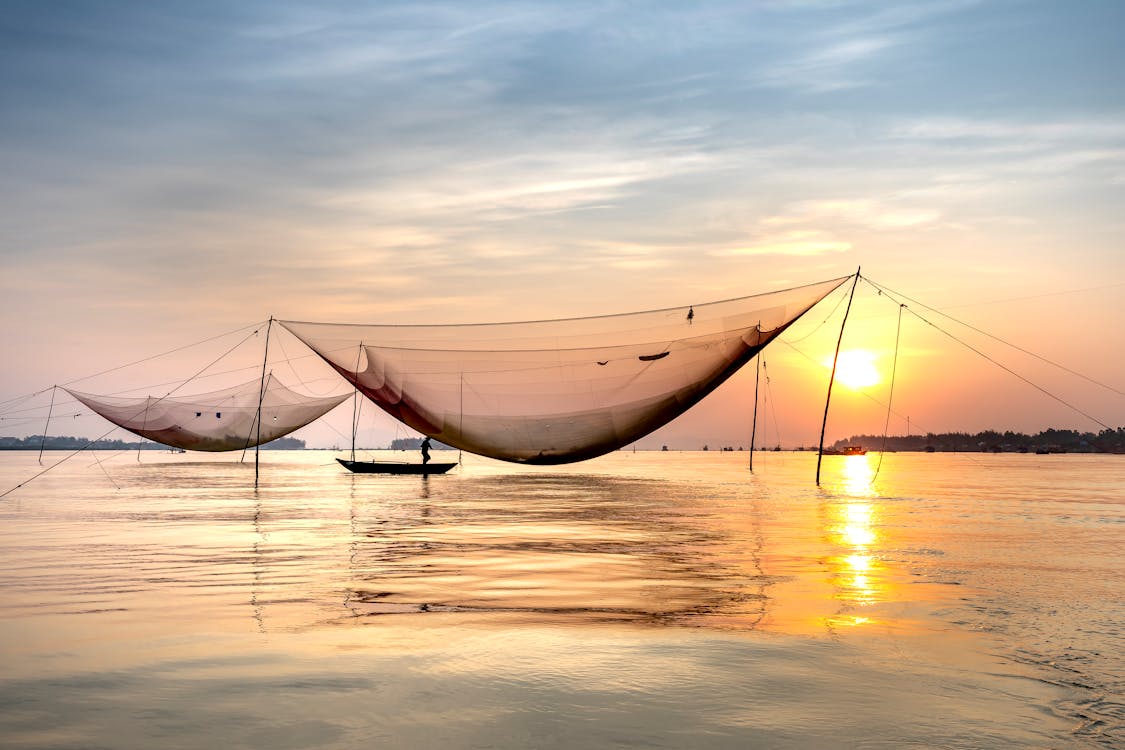 Unrecognizable man in boat floating near fishing nets in river · Free Stock  Photo