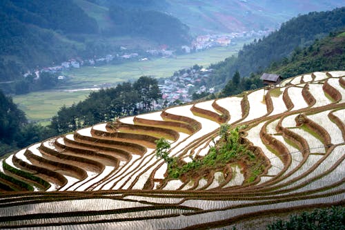 Breathtaking scenery of terraced rice paddy fields located in mountainous valley of Mu Cang Chai district in Vietnam
