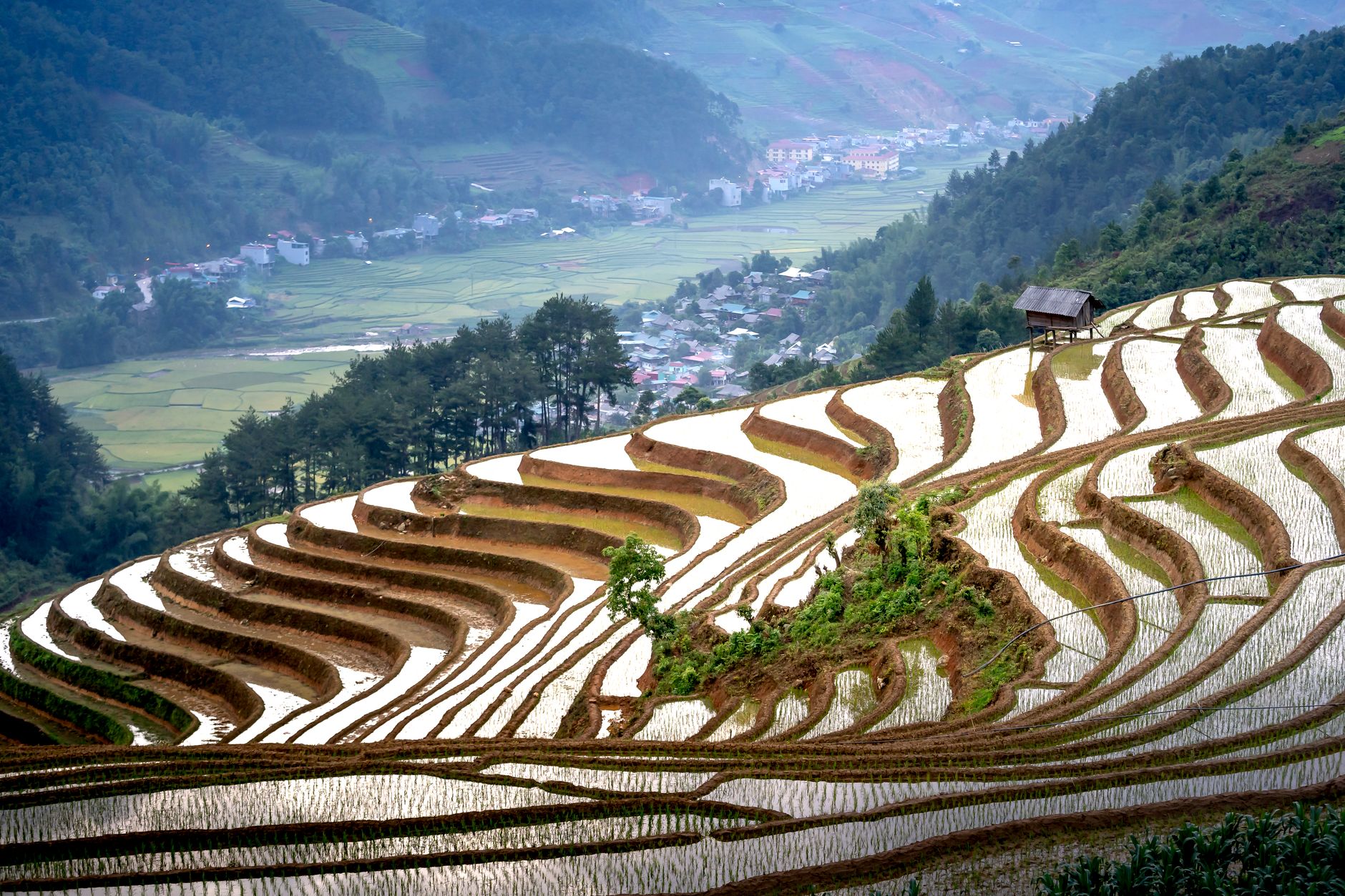 Breathtaking scenery of terraced rice paddy fields located in mountainous valley of Mu Cang Chai district in Vietnam