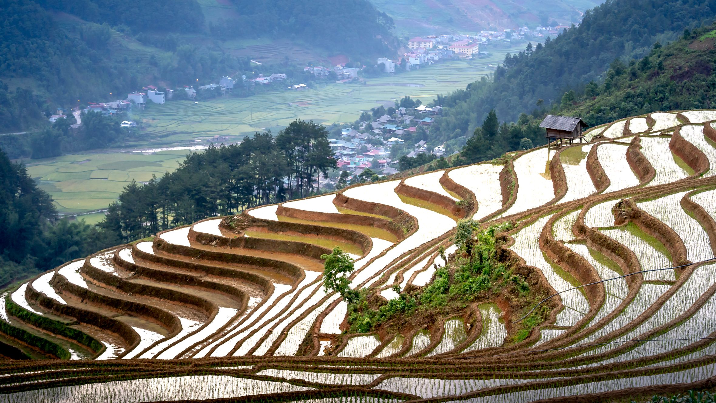 Breathtaking scenery of terraced rice paddy fields located in mountainous valley of Mu Cang Chai district in Vietnam