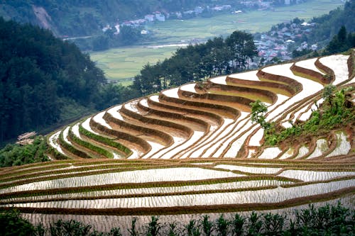 Spectacular scenery of rice paddy terraces ans small settlement located on mountain slope in Vietnam