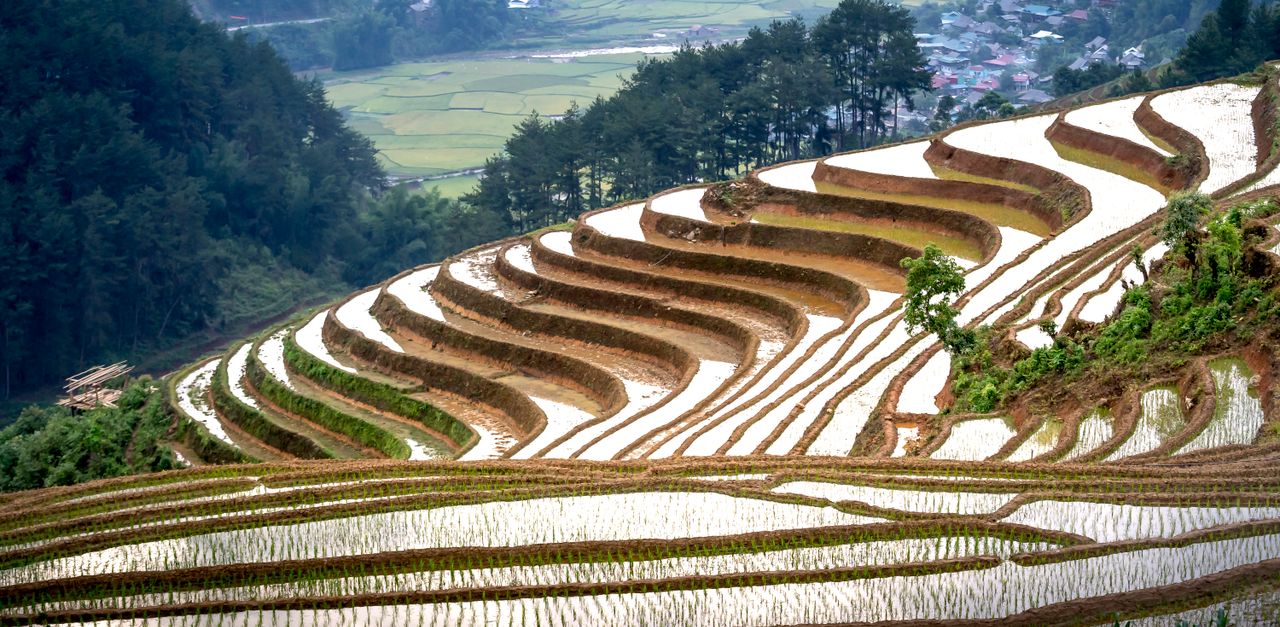 Lào Cai