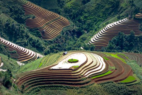 Free Aerial view of terrace farming for cultivating rice on hills in forested valley Stock Photo