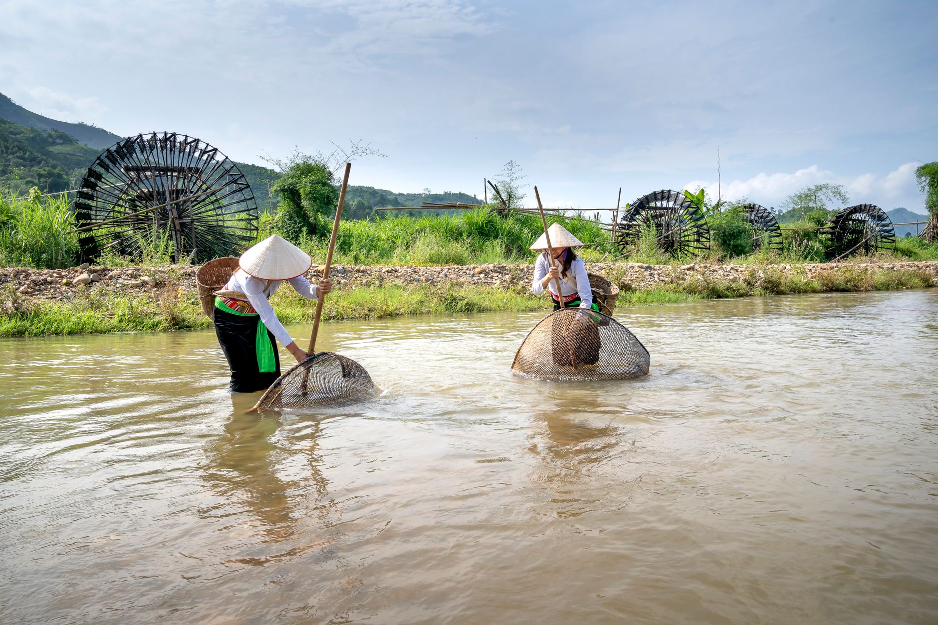 Female workers with Vietnamese hats standing in water and catching fish in river in tropical country