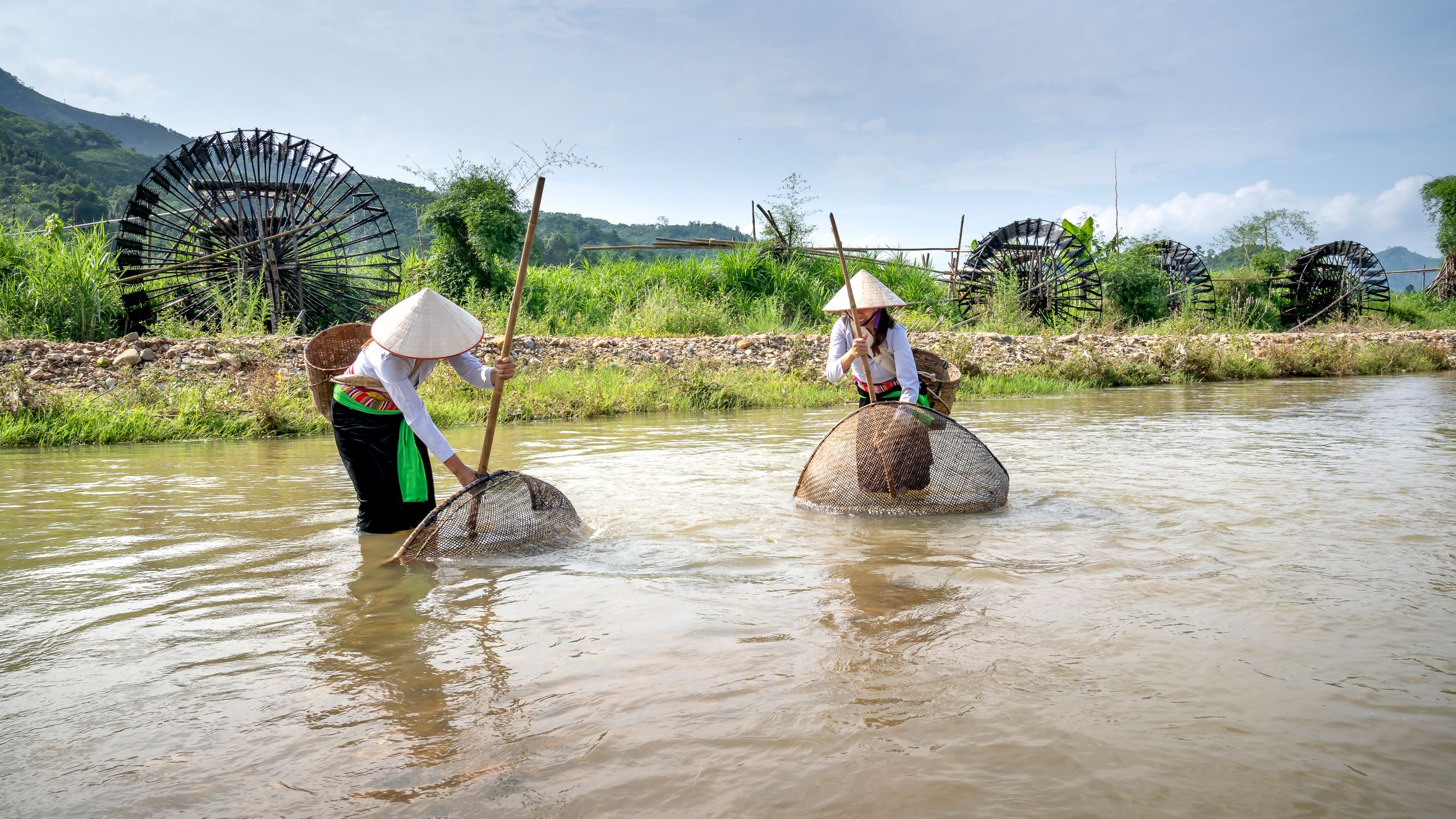 Female workers with Vietnamese hats standing in water and catching fish in river in tropical country