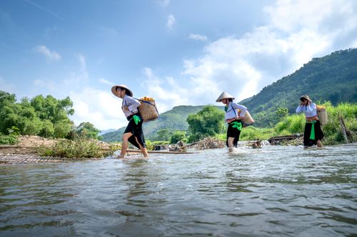 Free Low angle of Asian female workers crossing river while carrying heavy baskets with harvest Stock Photo
