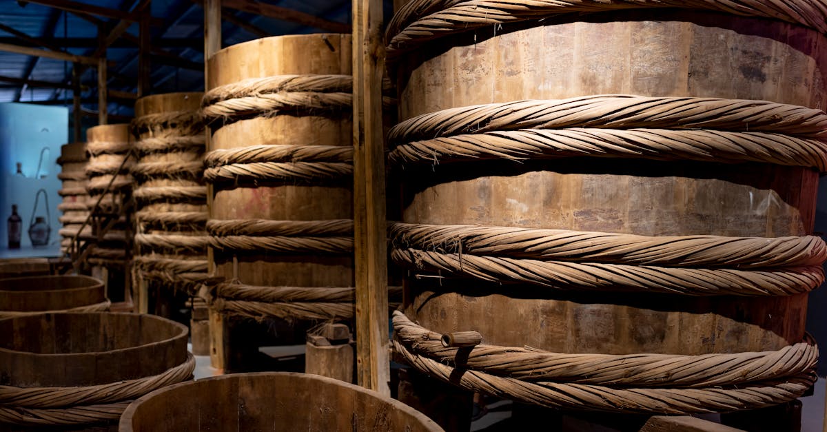 去年的翻身奇蹟!台南人氣彩券行再創佳績🎉💰