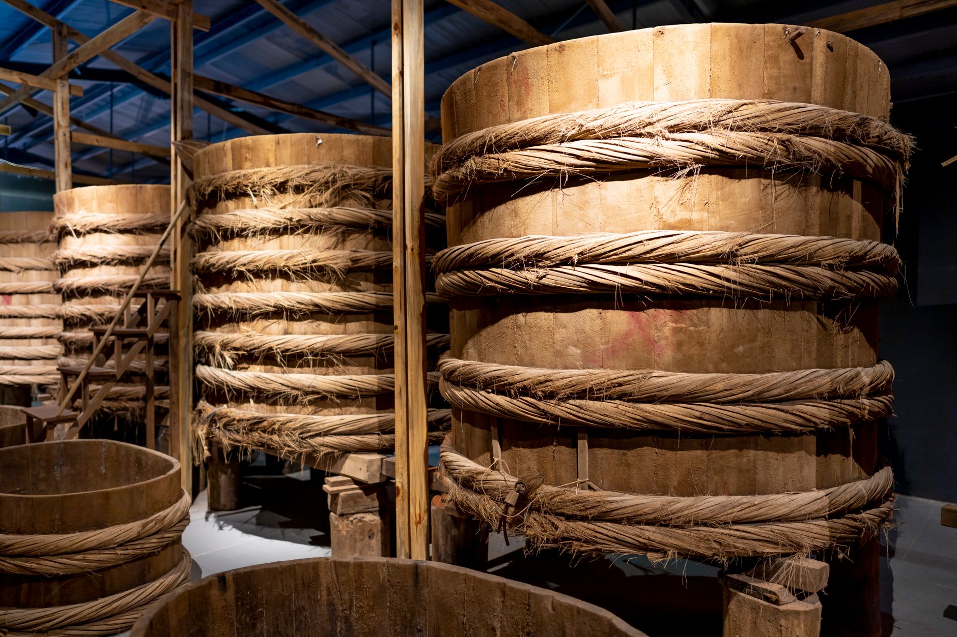 Rows of large wooden barrels for making traditional Asian fish sauce in factory