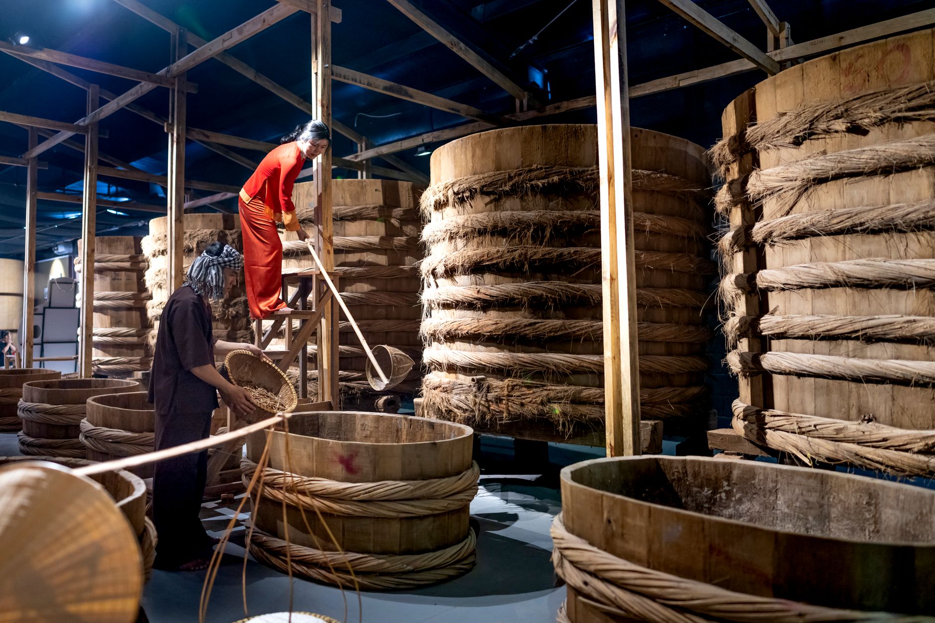 Cocoa fermentation expert worker