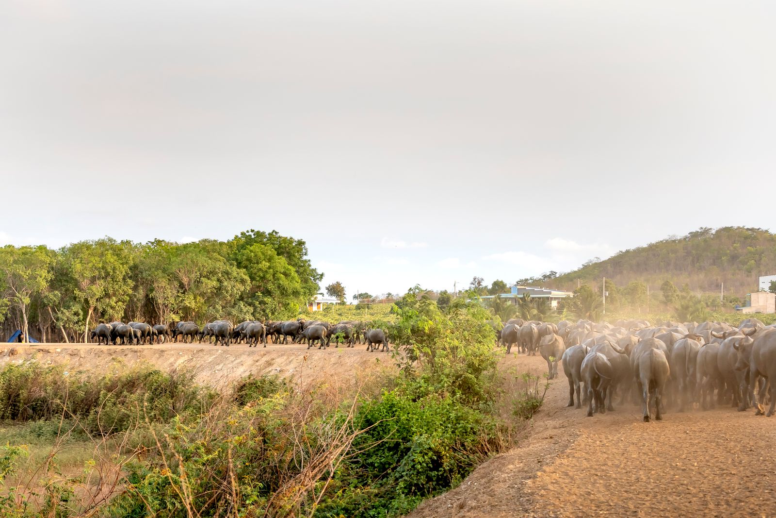Kenya photography