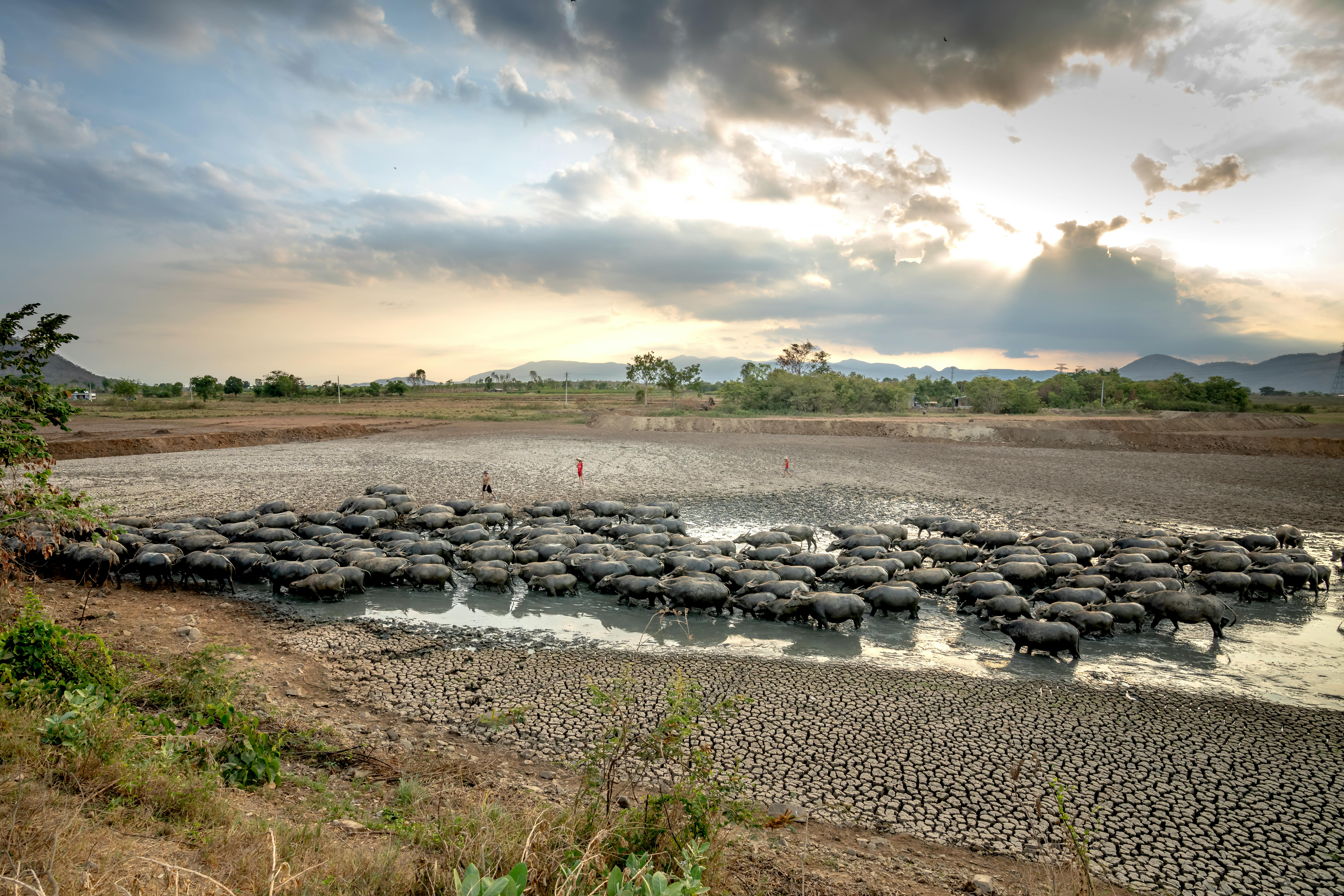 South Sudan Country Climate Development Report (CCDR) 2026