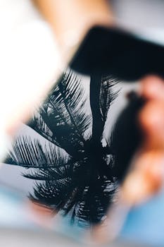 A close-up of a palm tree reflected on a smartphone's glossy screen.
