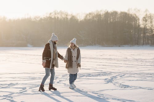 Fotos de stock gratuitas de afecto, amor, arboles