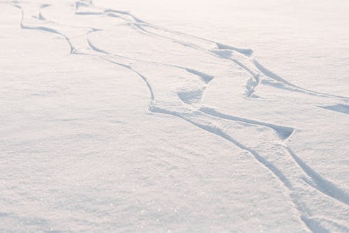 Tracks on Snow