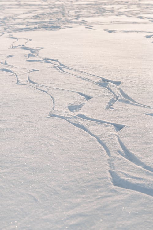 Bezpłatne Darmowe zdjęcie z galerii z krajobraz, lód, mróz Zdjęcie z galerii