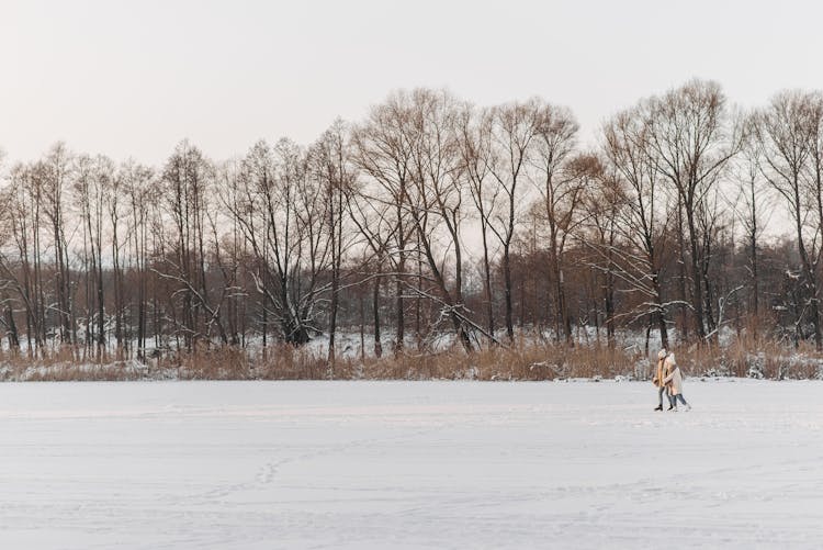 A Couple Ice Skating