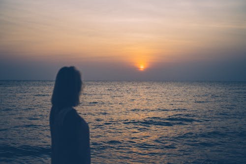 Free Woman Looking at the Sunset over the Horizon Stock Photo