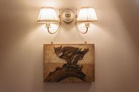 An Owl Painting Hanging on the Wall Under a Mounted Lamp