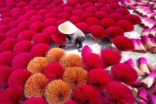Free From above of man in white Asian conical hat preparing colorful sticks for producing aromatic sticks in Vietnam incense village Stock Photo