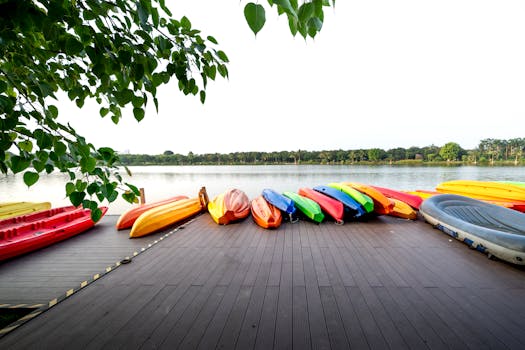 Multicolored canoes and boat placed on wooden dock near green trees by lake in summer