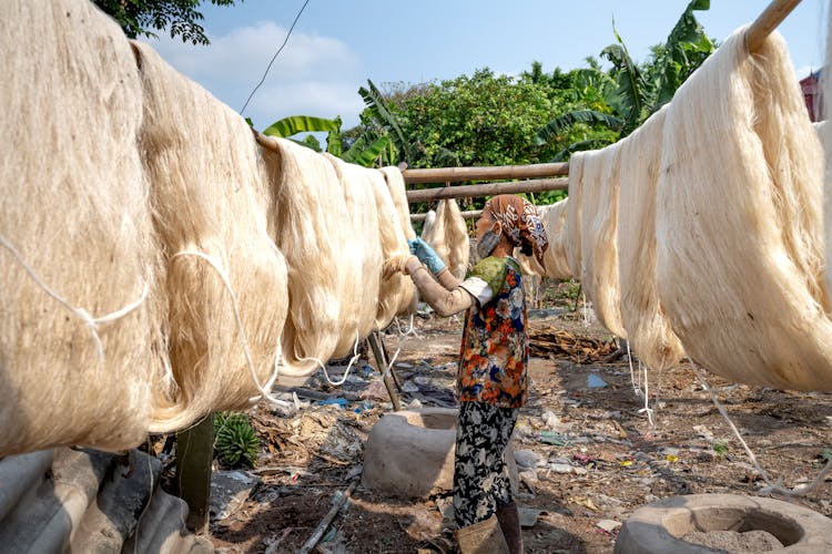 Asian Woman Checking Drying Silk Threads