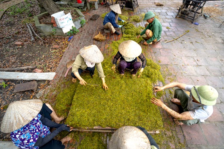 Unrecognizable Workers Processing Tea On Paved Ground