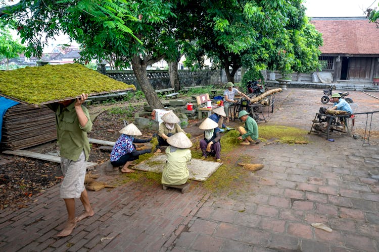 People Processing Tea In Countryside