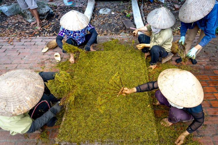 Anonymous People With Tools Processing Tea In Rural Area