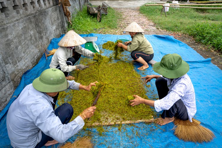 Faceless Workers Processing Tea In Countryside