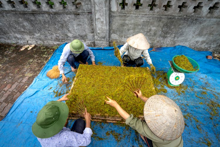 Unrecognizable Workers Processing Green Tea