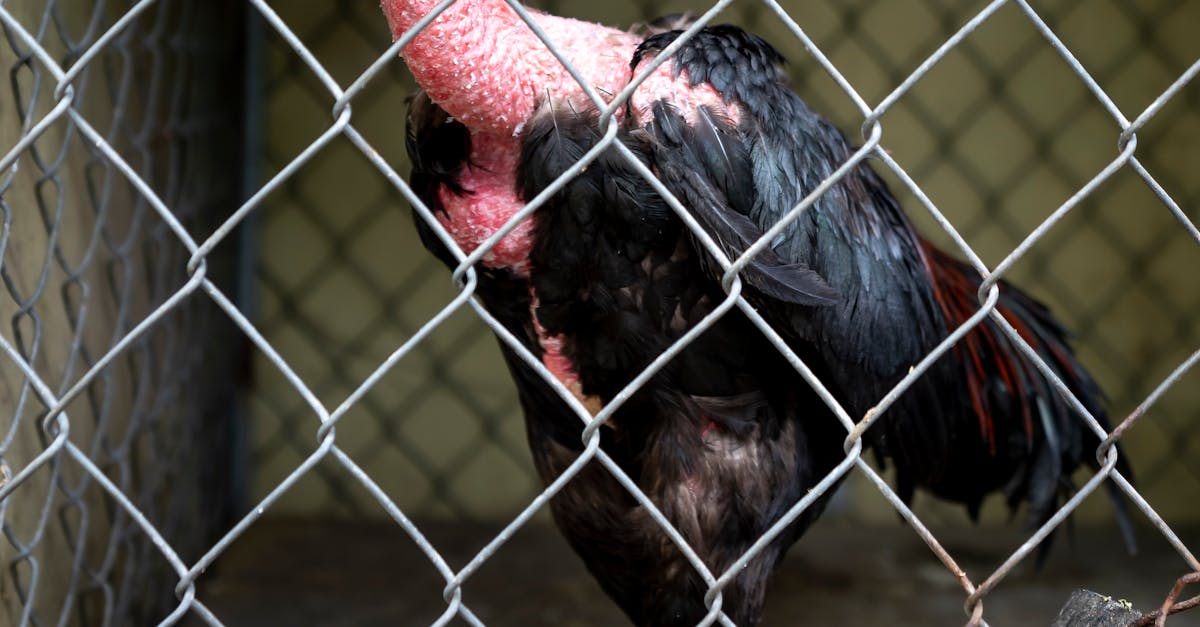 How to make wing stop ranch Reddit