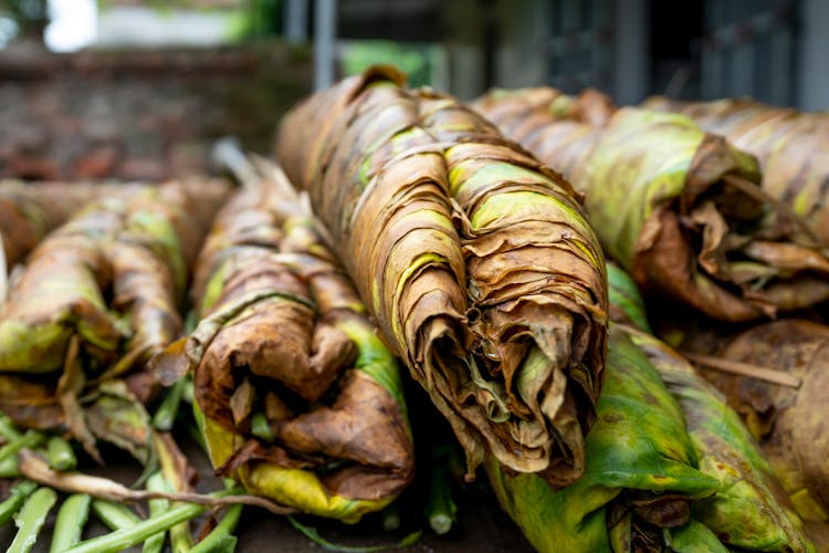 Ripe Tobacco Leaves Heaped On Market