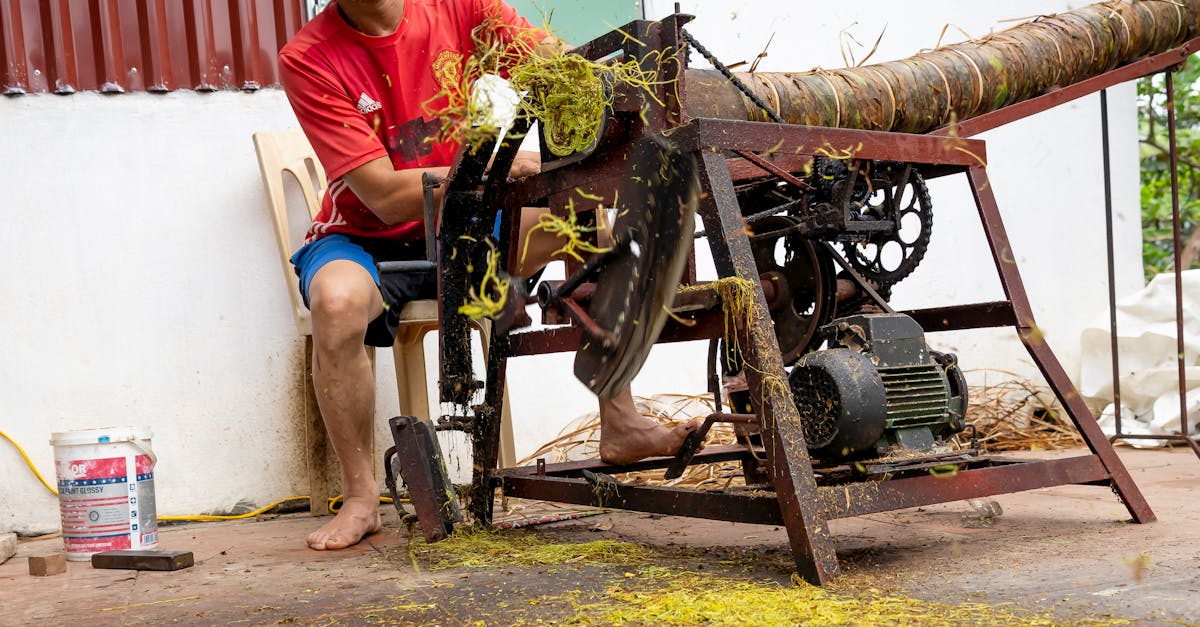 陳瑩出席卑南族語夏令營開幕 力促用AI科技搶救瀕危語言