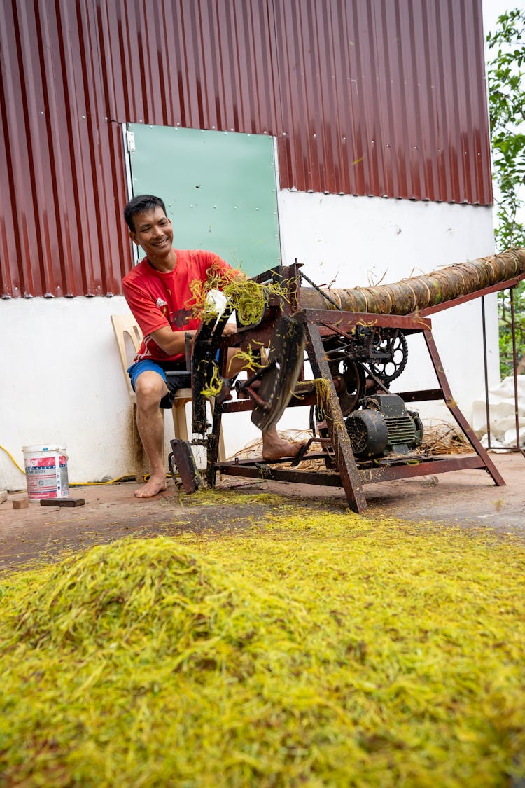 Happy Asian Man Working On Rolling Machine Near Fresh Grass