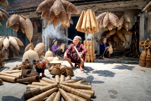 Ingyenes stockfotó bambusz, baromfi, békés témában Stockfotó