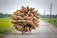 Asian man carrying bamboo fish traps in countryside