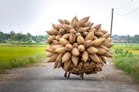 Bicycle with heap of bamboo fish traps placed on road in village