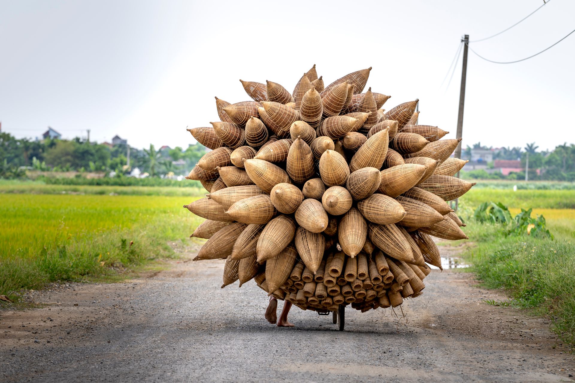 Bicycle carrying heap of handmade bamboo fish traps on road among fields with green grass in countryside in daytime
