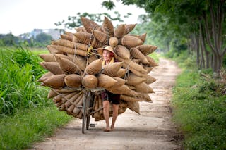 Senior Asian man in conical hat and casual clothes carrying bicycle with handmade bamboo fish traps on pathway among green plants in countryside in daytime