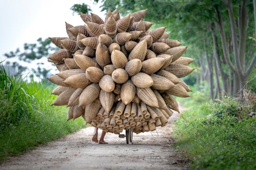 Photo by Quang Nguyen Vinh