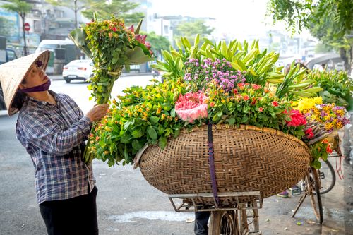 Free A street vendor in a straw hat arranges a colorful bouquet of flowers on a bicycle cart in an urban setting. Stock Photo