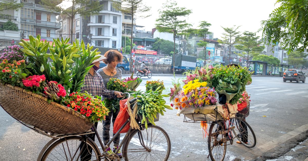 Marché aux fleurs : Guide des plus beaux