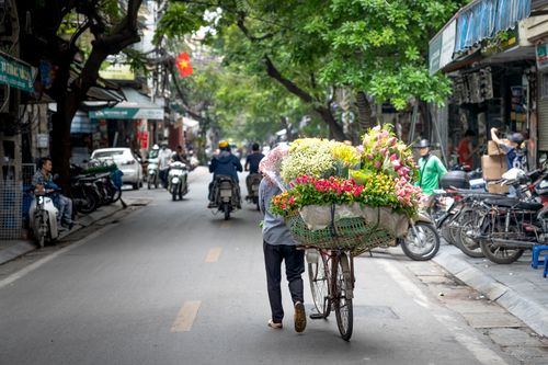 Free A bustling street scene with a vendor transporting a colorful bouquet of flowers on a bicycle. Stock Photo